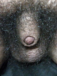 Hairy Gay Cock Porn