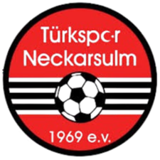 历卡苏尔姆 历卡苏尔姆球队logo