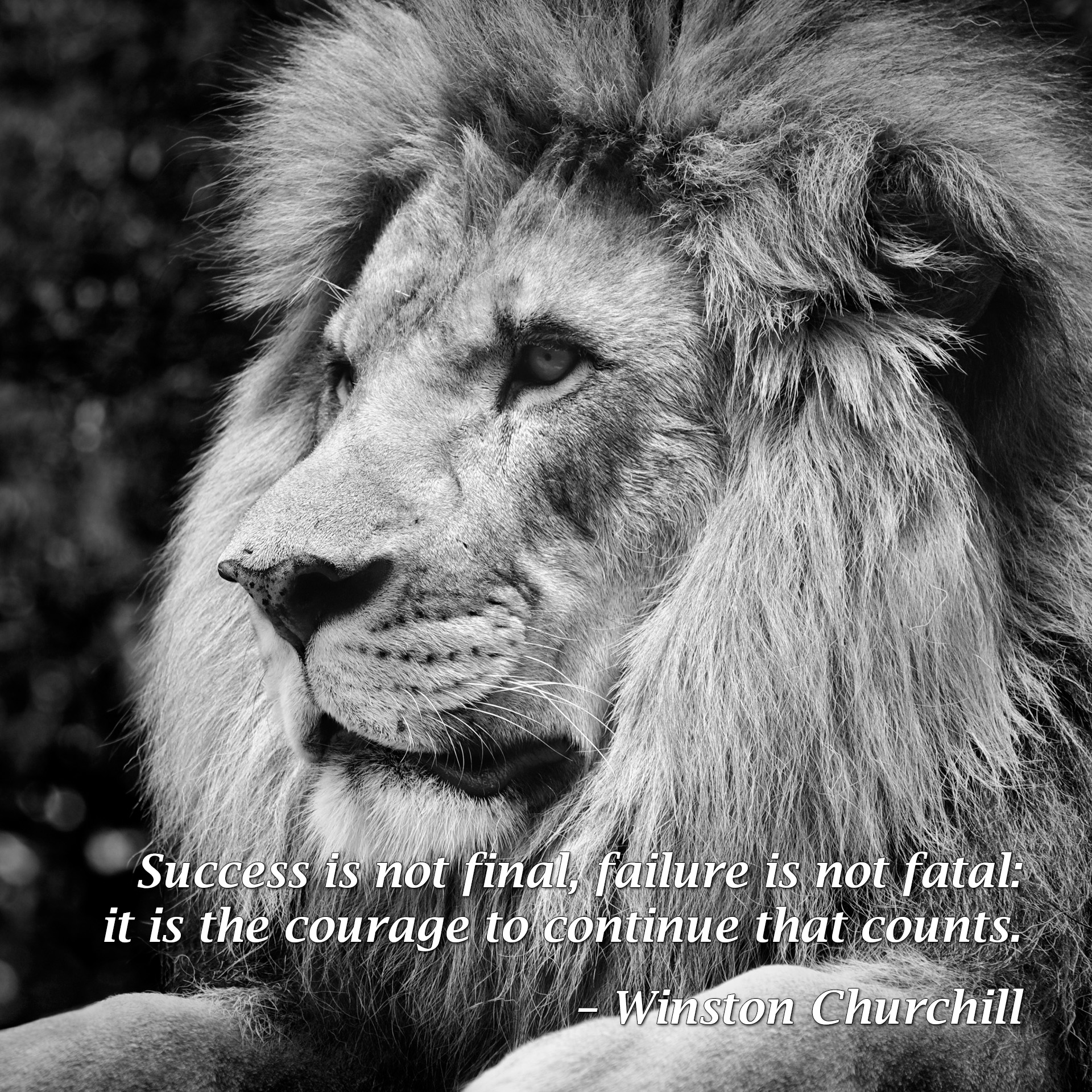 Success is not final, failure is not fatal: it is the courage to continue that counts. – Winston Churchill - Free Teens Youth - Changing Minds, Transforming Lives