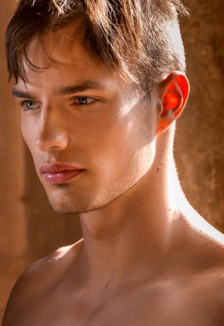 Gay Pornstars Pictures