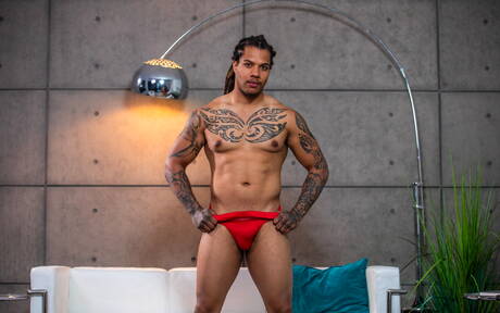 Gay with Pigtails Pics