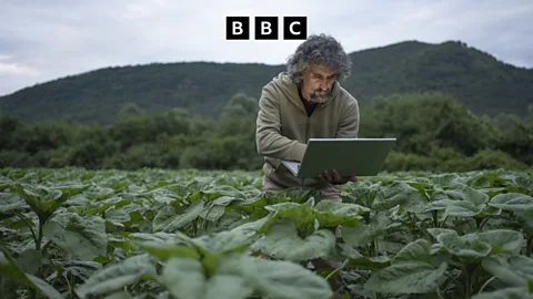 Business Daily, Business Daily, Is AI about to transform food production?