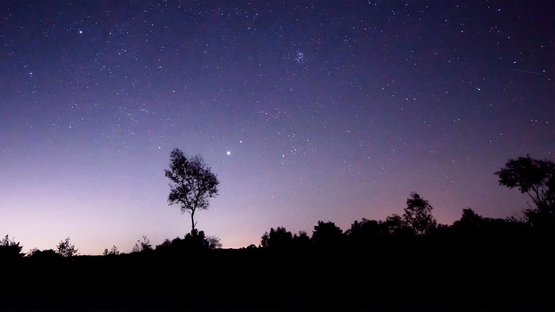 Silhouettes of two people sitting at a table by a window at sunset (Credit: Getty Images)