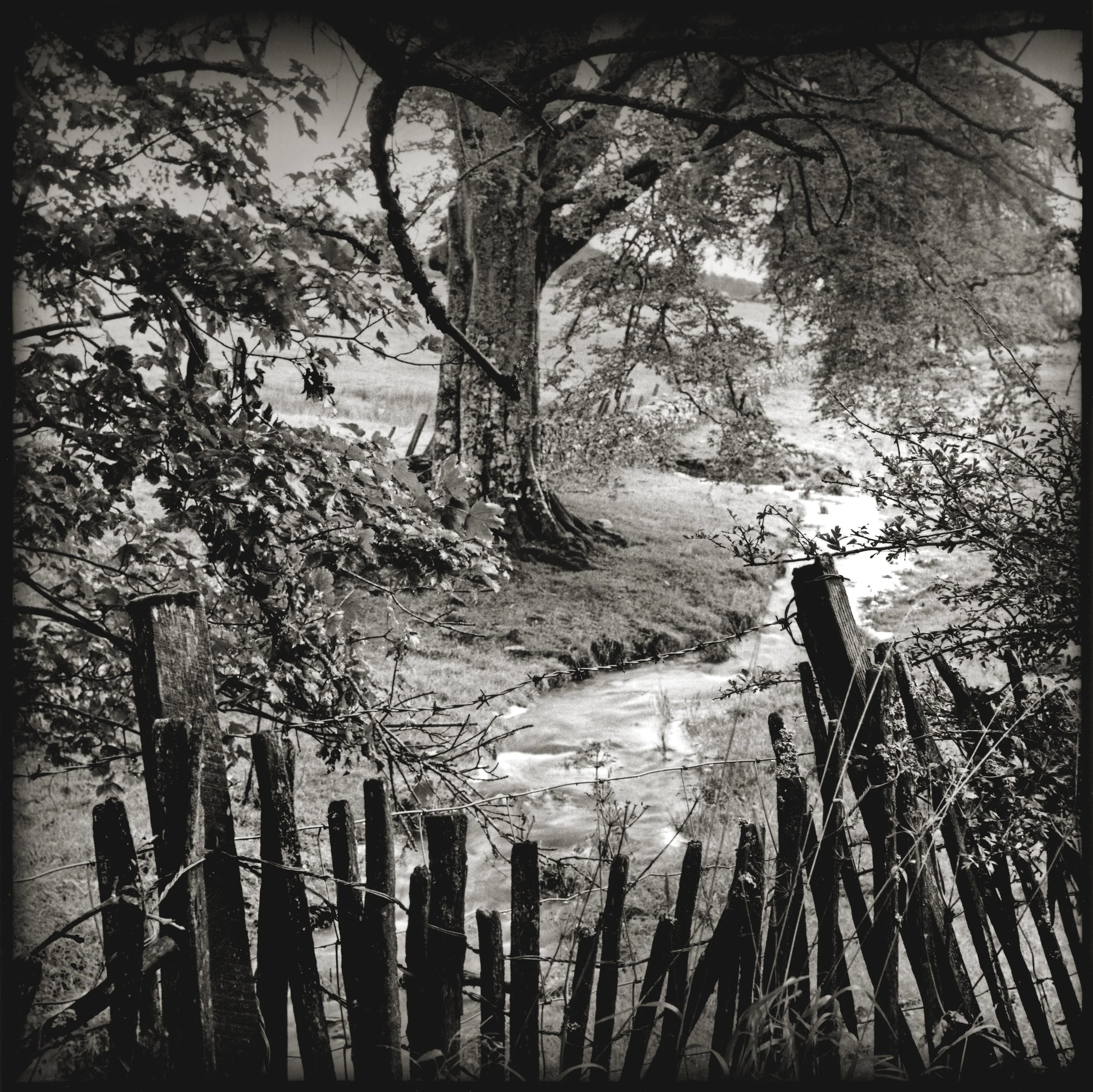 Black and white photo of a rural landscape with a stream, trees, a rustic wooden fence, and grass.