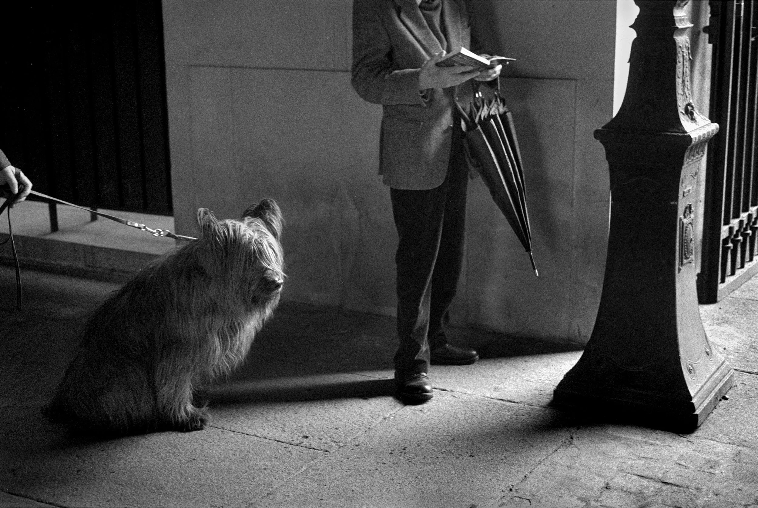 A person standing next to a dog on a leash, holding a book and an umbrella, near an ornate street lamp, all in black and white.