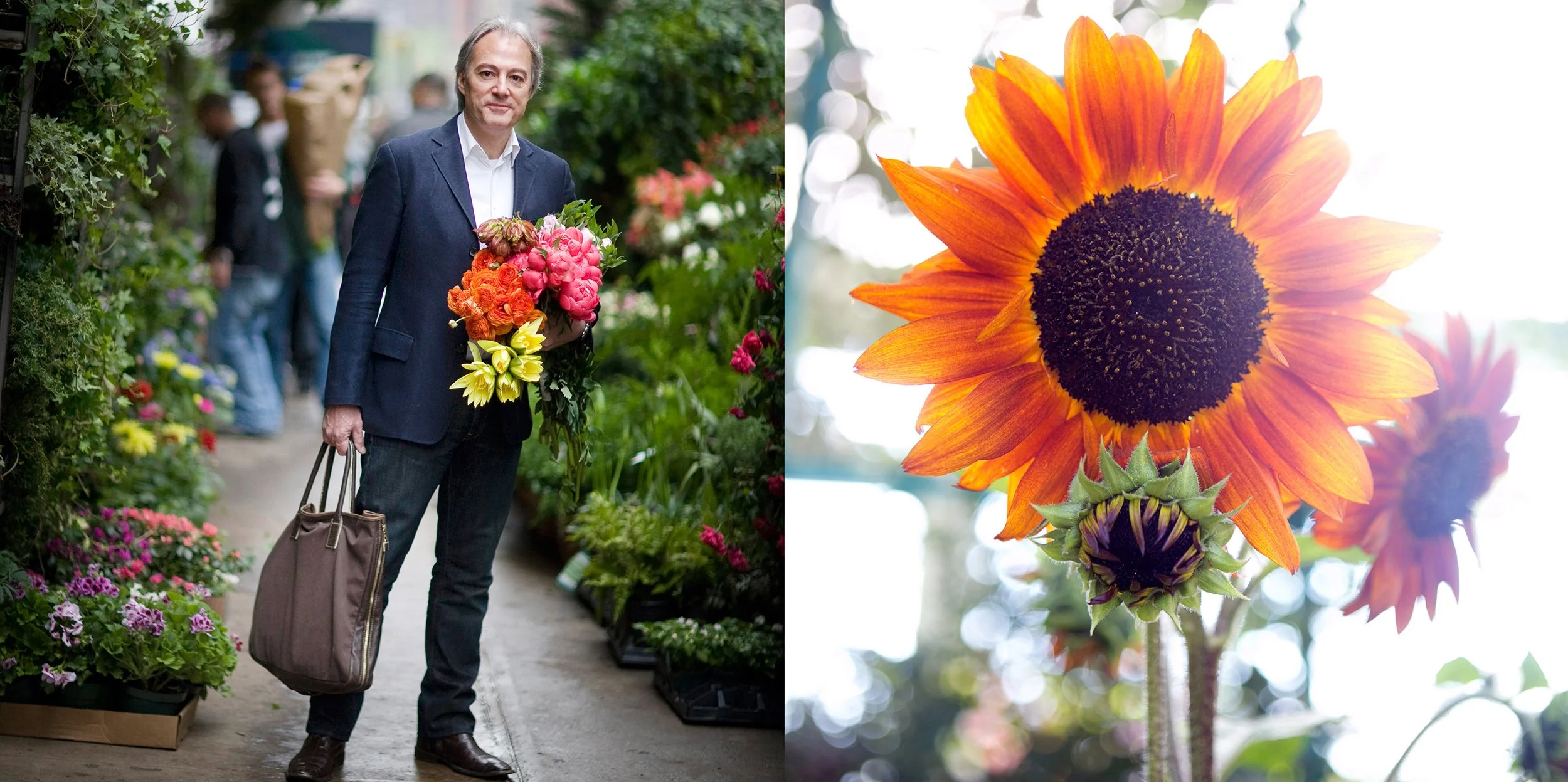 A man walks through a garden center holding a bouquet of colorful flowers and a brown bag. The garden center is filled with various plants and flowers. Next to the man, a close-up of a vibrant orange sunflower with a dark center is shown, with anothe