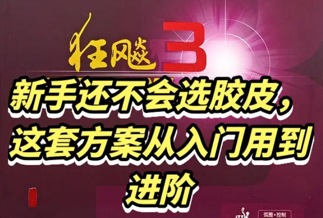 不花冤枉钱，整套推荐正反手胶皮搭配，闭眼入指南
