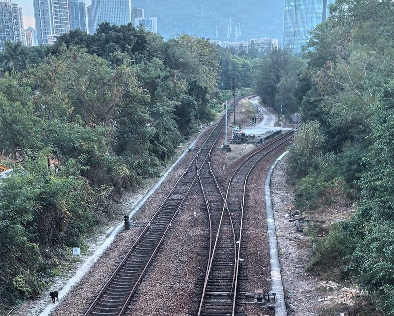 官方辟谣深圳西站正式开工拆迁