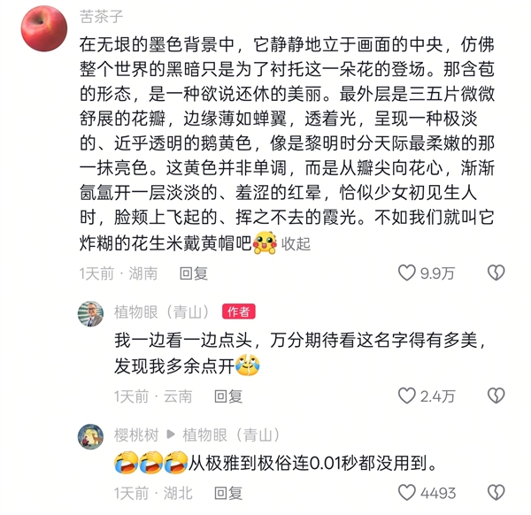专家委托给新品种兜兰征名 “炸糊的花生米戴黄帽”高居第一