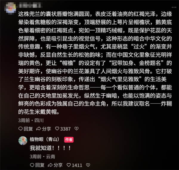 专家委托给新品种兜兰征名 “炸糊的花生米戴黄帽”高居第一