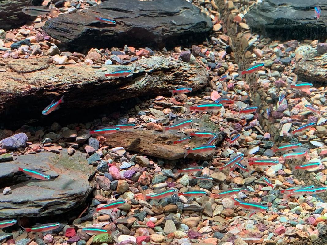 武汉生鲜市场：口角失控酿冲突，情绪不稳毁生活