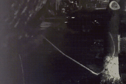 家长带娃放烟花烧掉80万财物被判刑