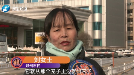 女子命悬一线被众人托举  全城寻找暖心人