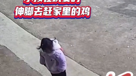 小孩姐伸腿赶鸡反被啄哭，太爷爷小跑上前一脚飞踹救娃