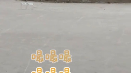 一声嘬嘬嘬，三只小猫从墙后齐齐探出头