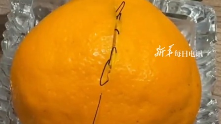 博主展示用针线缝合水果裂缝，医学生的“见证奇迹的时刻”到了