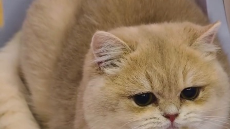 男孩子怎么可以这么夹