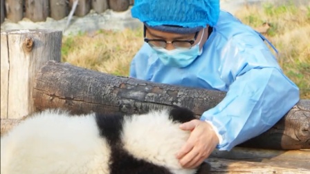 怎么样？像不像早上赖床起不来的你？