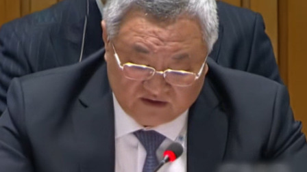 中国代表重申：日本没资格要求入常