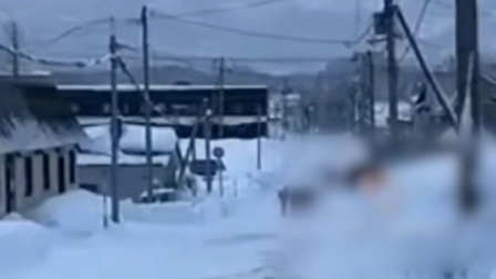 近50名中国游客在俄遇暴雪 中使馆提醒