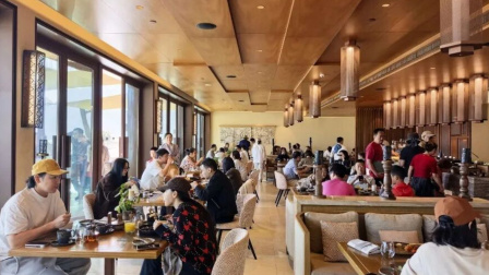 梵高博物馆中国游客占比90%，网友称国外景点餐厅全是中国人，国家移民管理局预测