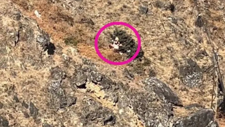 大年初五当天，男童在虎跳峡坠崖遇难，目击者：小孩滚到20多米山下，当时还能哭出声来