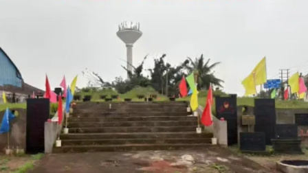 市级文保唐震墓被指遭破坏，海南通报