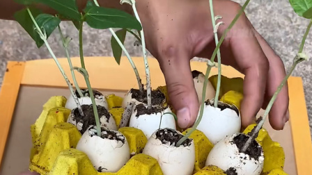 果然刷到的就是比搜到的好用