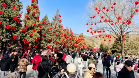 北京最火公园出炉天坛颐和园上榜