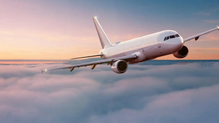 海南返程机票价格逼近万元？官方出手