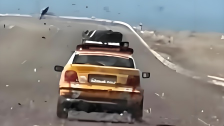 遮天蔽日!撒哈拉沙漠公路遭蝗群侵袭