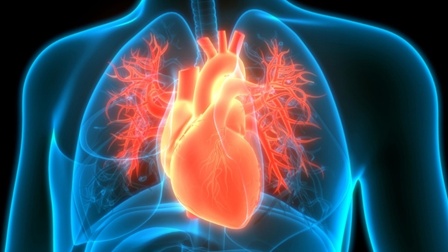 病死率第1的“老年病”正逼近年轻人