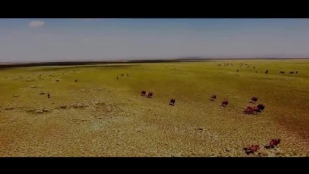 从晚清政府到蒋介石，外蒙古是如何一步步走向独立的？