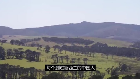 毫无存在感的“农业国”新西兰，凭什么是世界前十发达的国家？