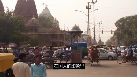 “印度自信”永远都是个谜，印裔的职业成就却远超华裔，为什么？
