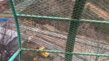 女子体验景区的“高空滚筒”项目，因害怕越走越快滚筒也越转越快