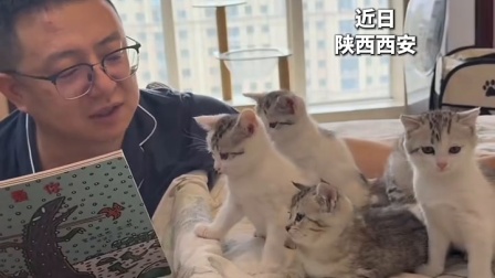 网友：我点开视频就开始困了