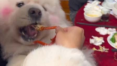 一个负责吃，一个负责拿