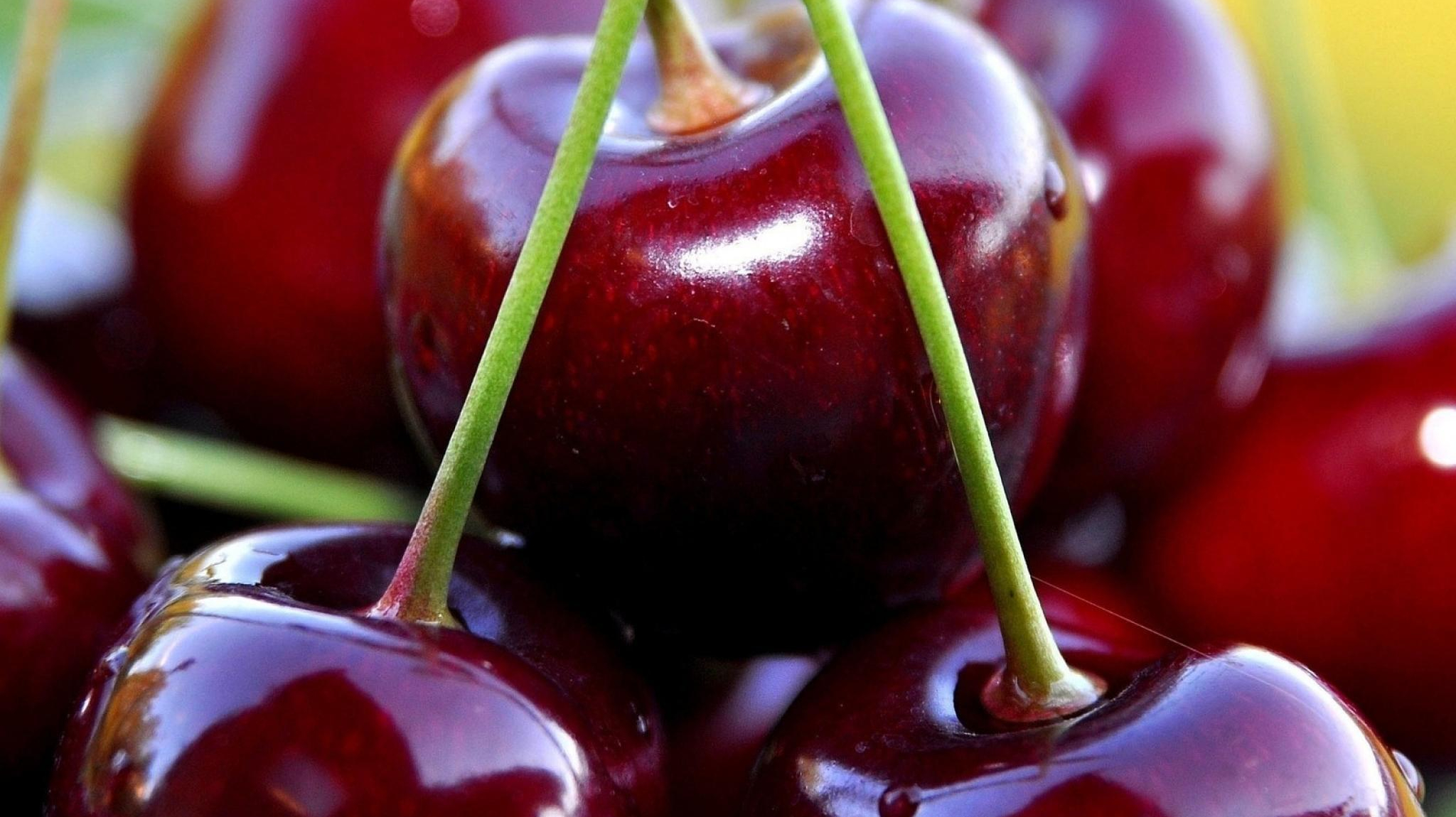 “几乎全部腐烂！”价格“腰斩”，口感却崩了！