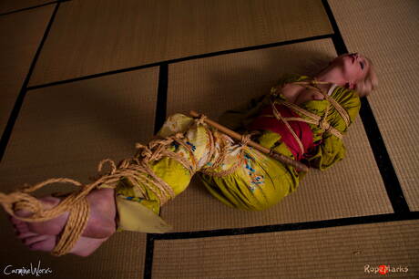 Huge Tits in BDSM Pics