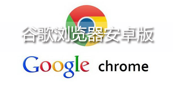 �ȸ������2025�ٷ���