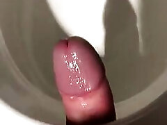 In A Public Toilet Using The Toilet To Fuck & Shooting My Load Into The Toilet!