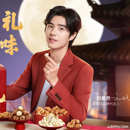 百草味品牌形象展示