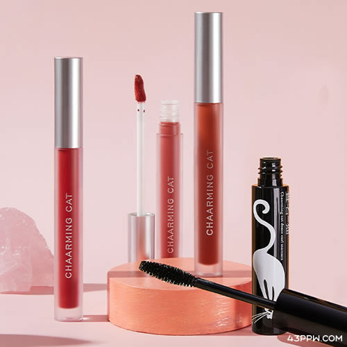 查名一猫 CHAARMING CAT品牌形象展示