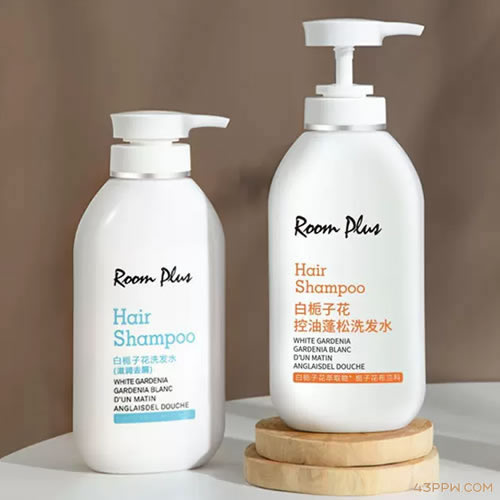 RoomPlus (隆帕斯)品牌形象展示