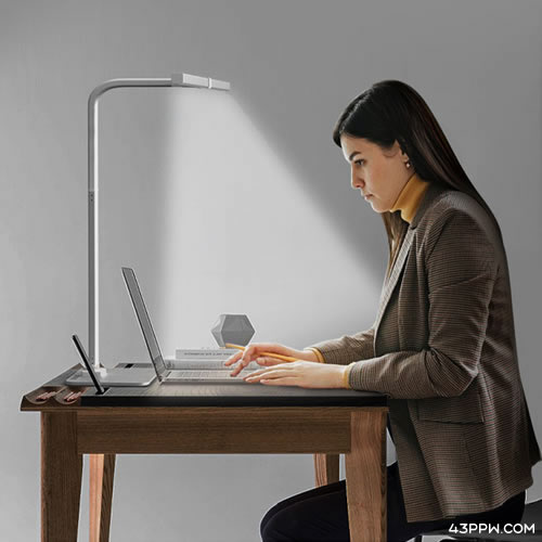 DP DUPI (西班牙德普)品牌形象展示