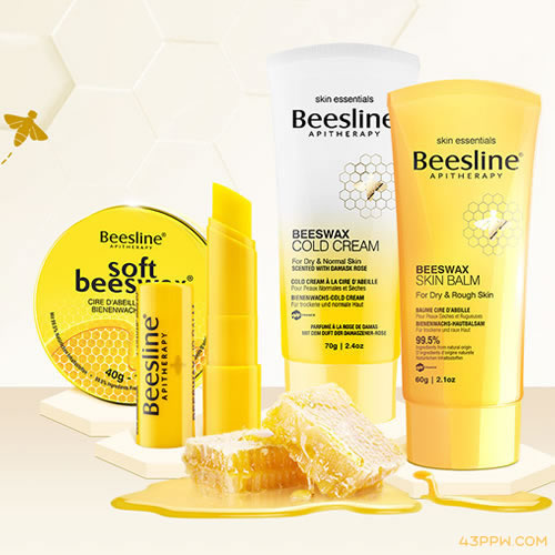 Beesline品牌形象展示