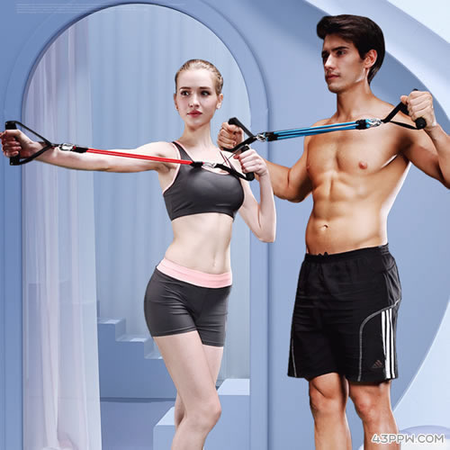 品健运动品牌形象展示