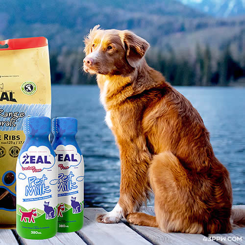 ZEAL (宠物食品)品牌形象展示
