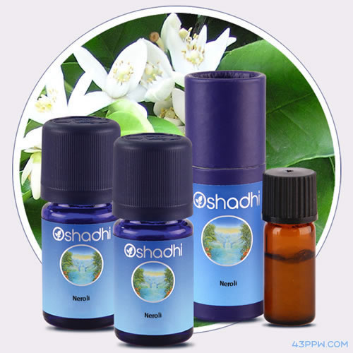 Oshadhi品牌形象展示